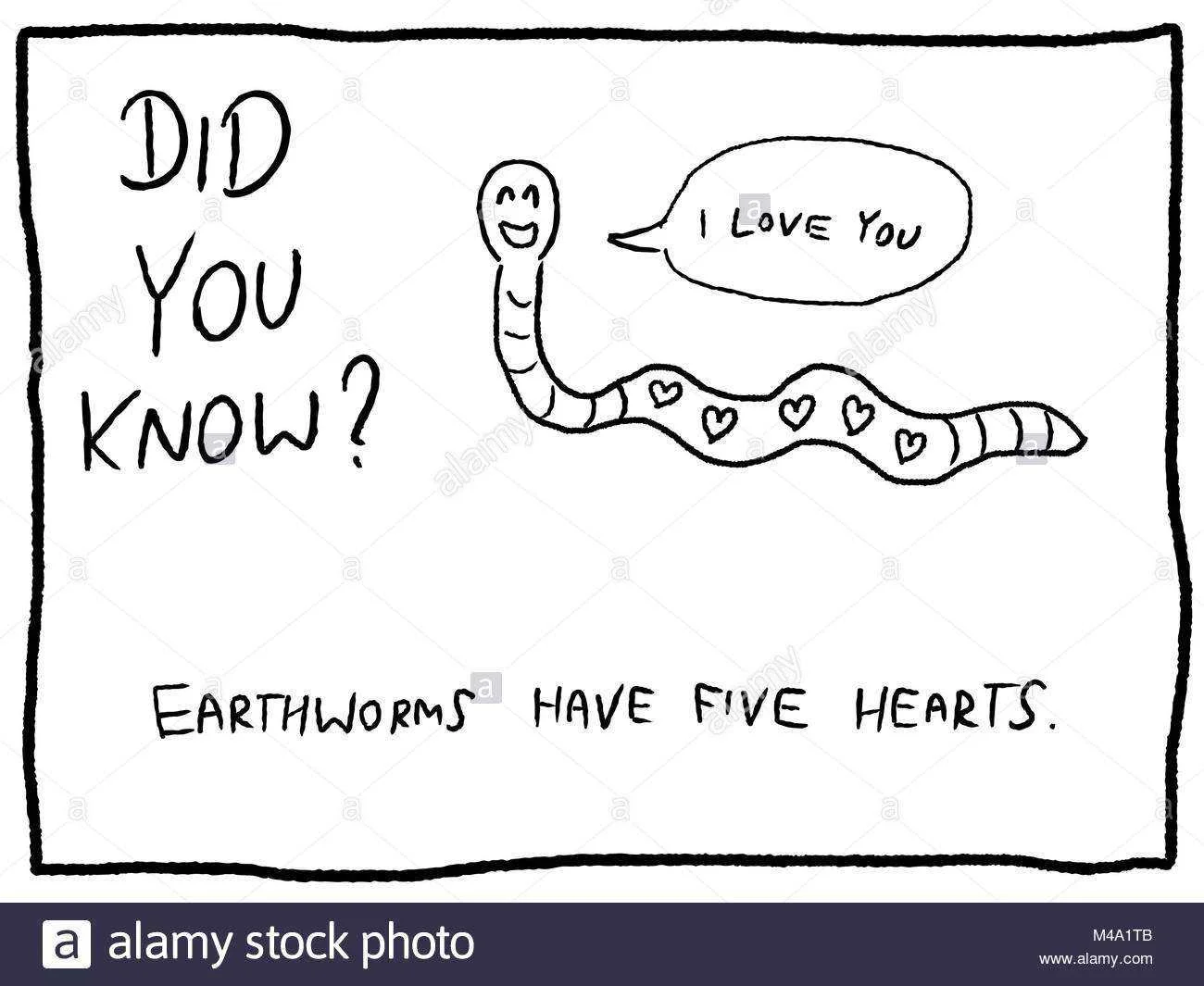 animal-trivia-fun-cartoon-doodle-concept-newspaper-funny-comic-fact-M4A1TB.webp