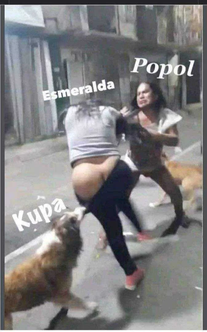 IMG_20210515_101327.webp