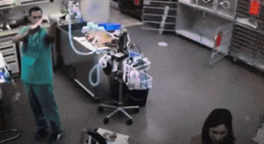 ezgif-3-a34d50f6581a.gif