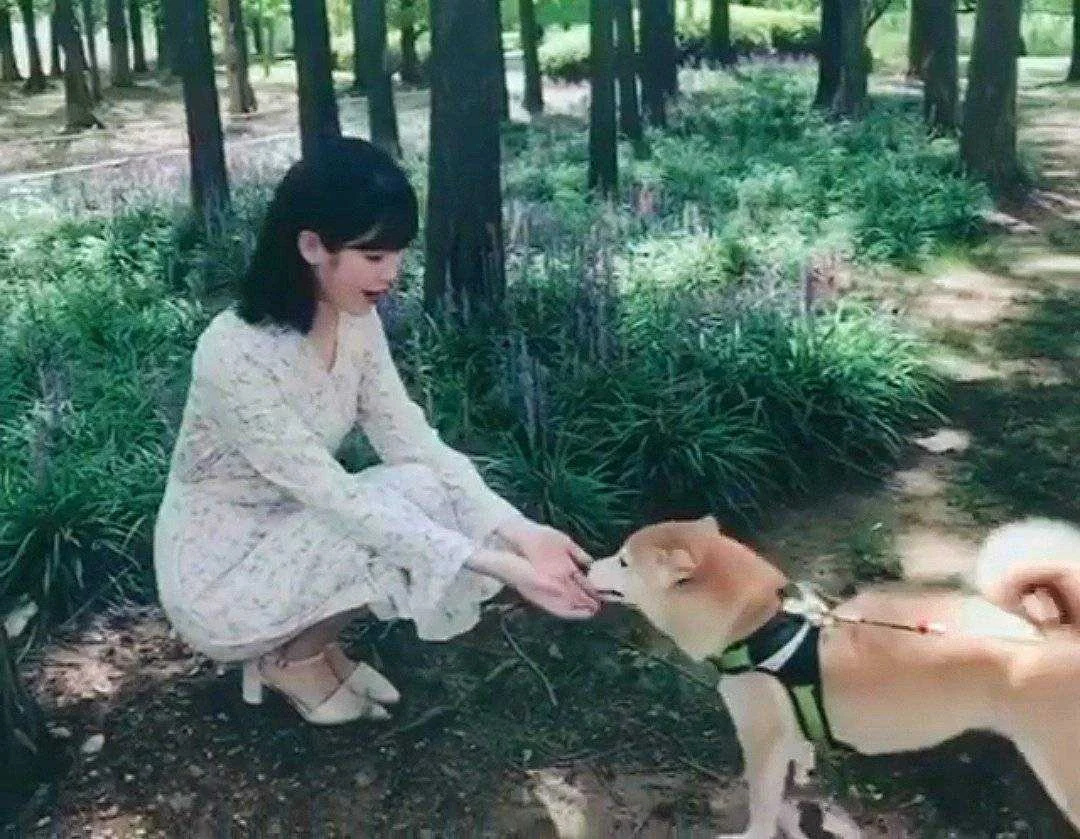 DAILY DOSE OF IU 04