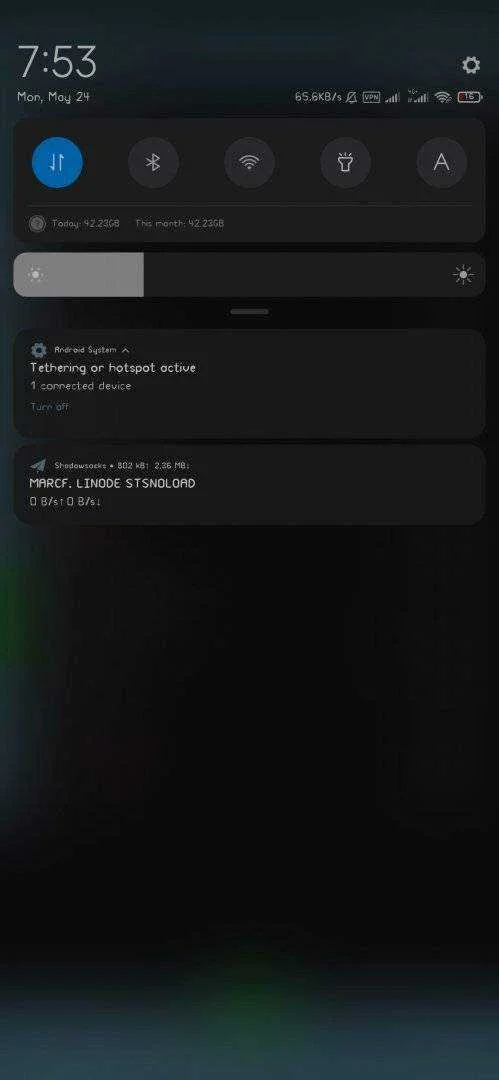 Screenshot_2021-05-24-07-53-20-671_com.github.shadowsocks.webp