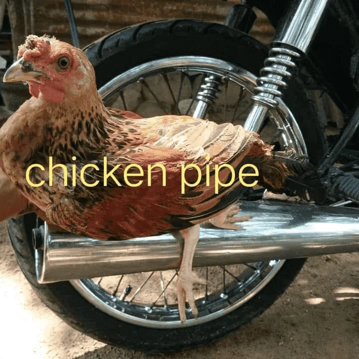 1622165822405.webp