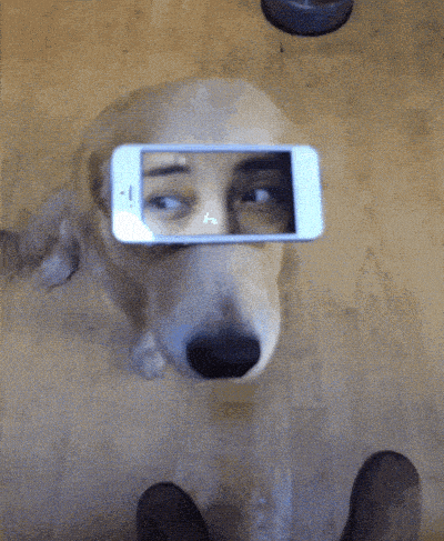 8c179b0a05f578a7e05c7902af6932af.gif