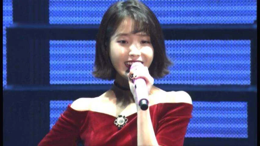 [DVD] IU 2016 Concert DVD [MKV]