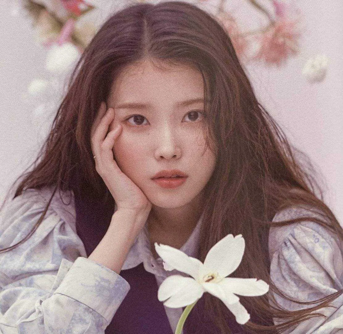 Daily Dose of IU 17