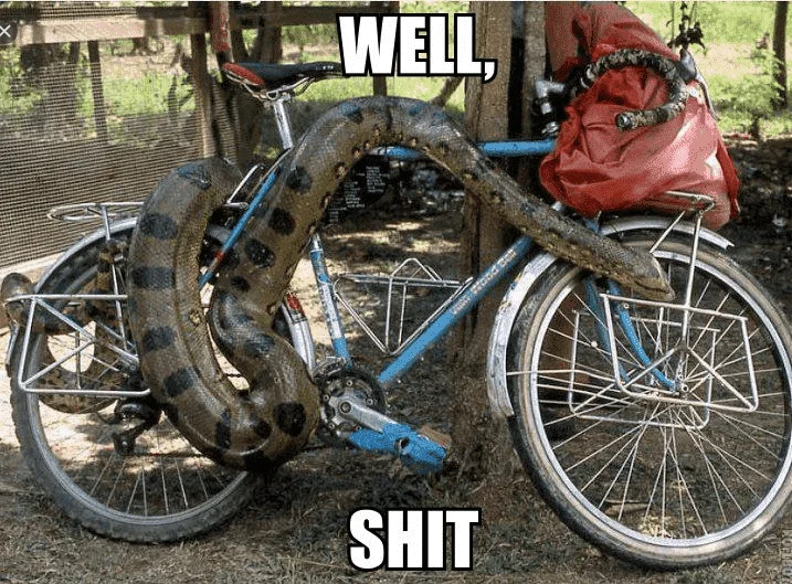 oy yung bike mo o kunin mo na.webp