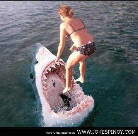 Catch me if you can.webp