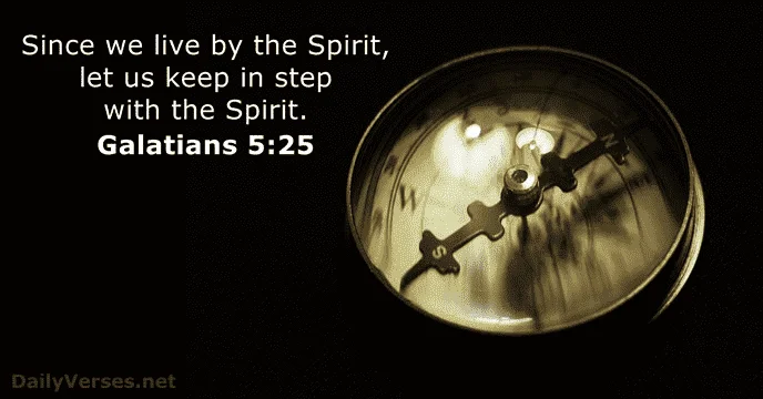 1623165543400.webp