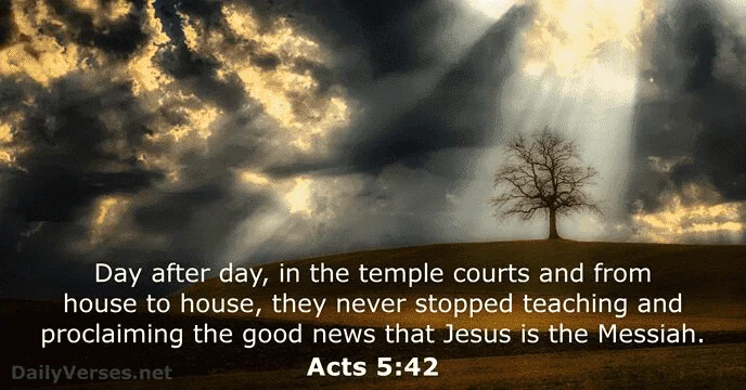 1623165567094.webp
