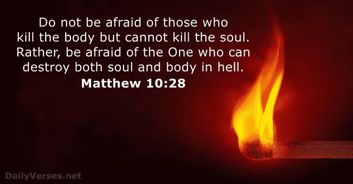 1623165614766.webp