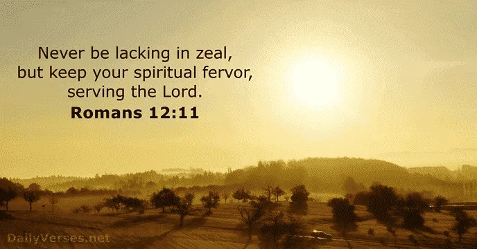 1623165678721.webp