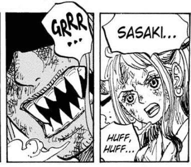 1623208247143.webp