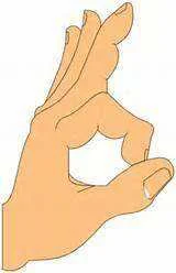 th-2.webp