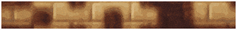 PHC Banner.gif