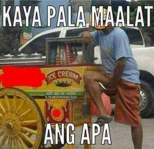 apa.webp