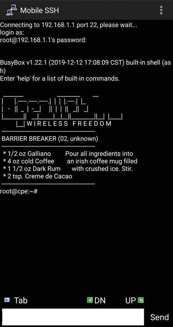 Screenshot_20210613-204220_Mobile SSH.webp