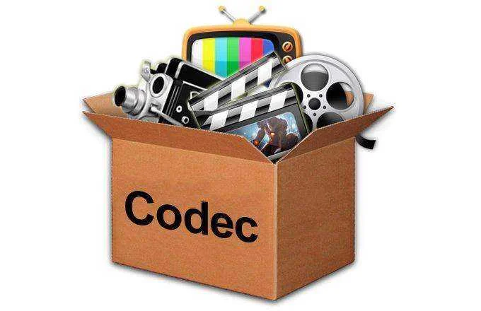 155019156_264341251878336_6947327227938344443_n.webp