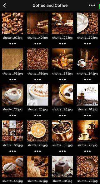 192000824_4136191229757901_8505772905787677728_n.webp
