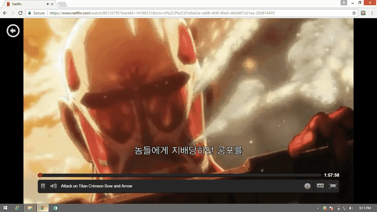 cccc.webp