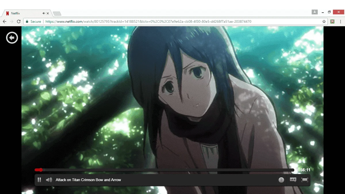 yeahs.webp