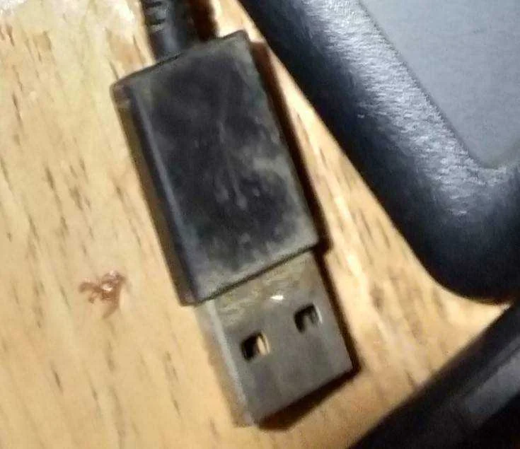 usb.webp