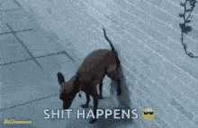 tenor (2).gif