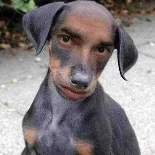 aso.webp