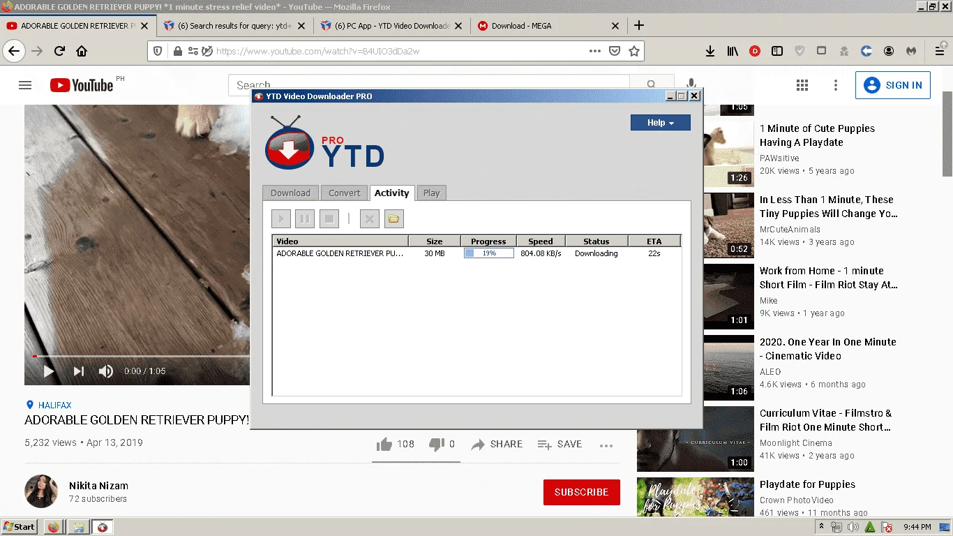 1624542303594.webp