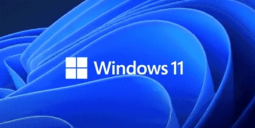 1624549561536.webp