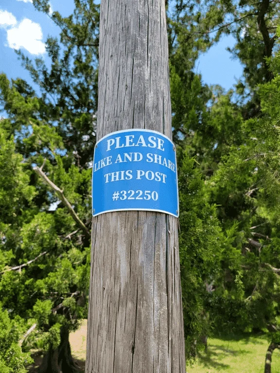 post.webp