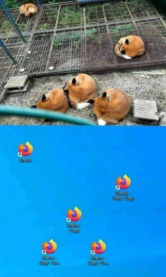 0DC72631-8FC8-450D-BE7D-762544DB85E2.webp