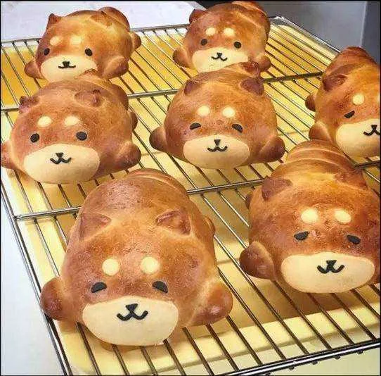 shiba inu.webp