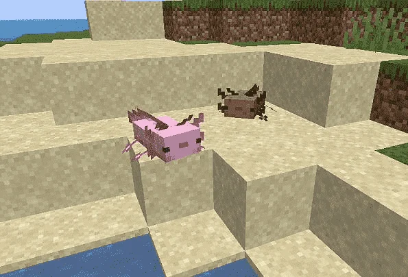 1625280528146.png