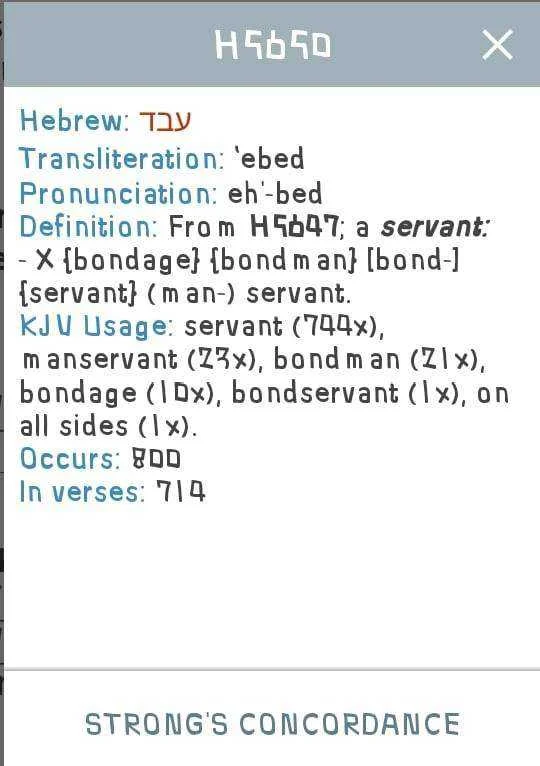 215187780_1416891495346694_5936960382535007779_n.jpg