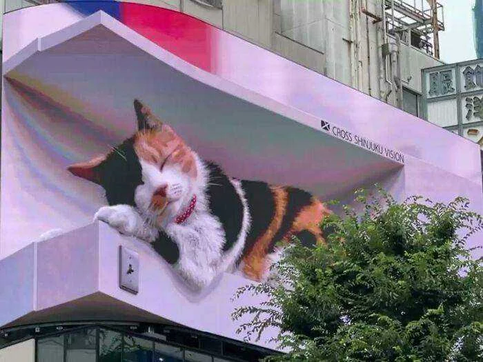 A-giant-3D-cat-on-a-billboard-in-Tokyo-moves-and-meows-like-a-real-thing-and-its-impressing-e...webp