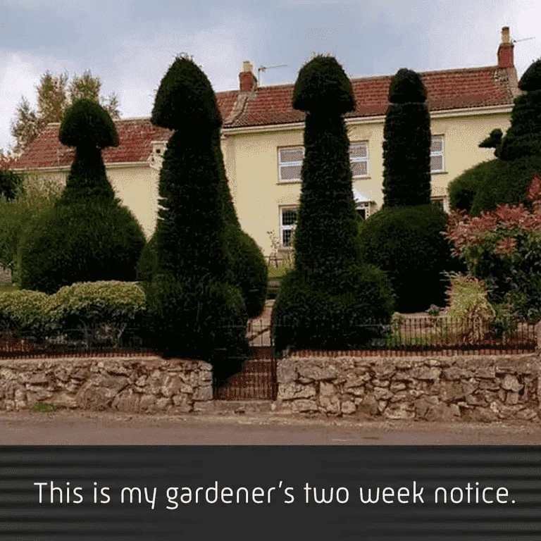 gardener.webp