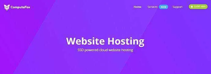 website.webp