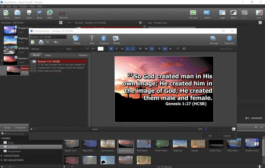 EWorship 7.png