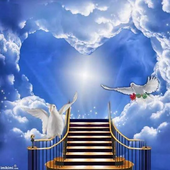 images (2).webp