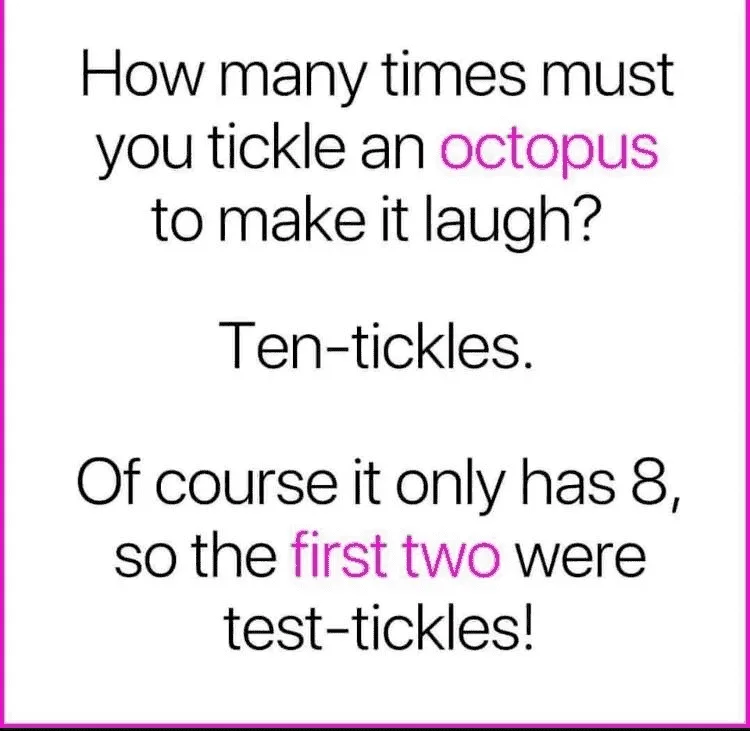 octopus.webp