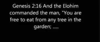 Screenshot_20210729-135932_1.jpg