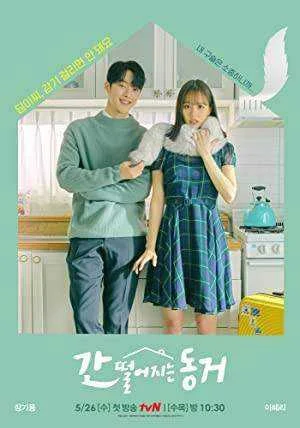 My Roommate is Gumiho Season 1 Complete WEB-DL 480p & 720p (Korean)