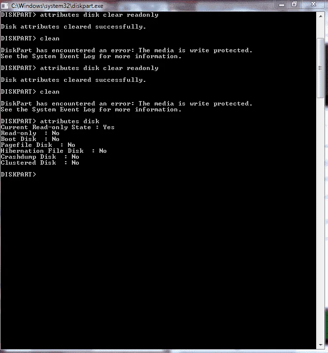 4.webp