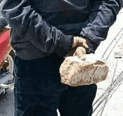 1628146542040.webp