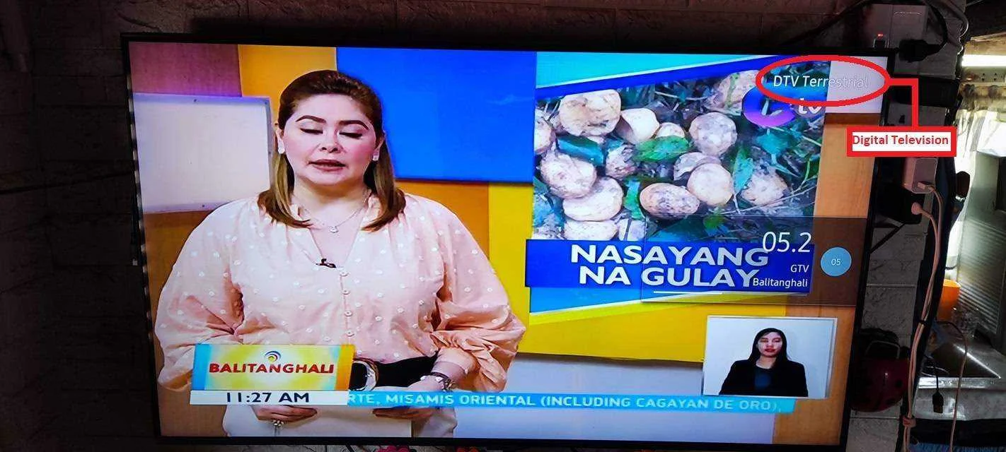 DTV.jpg