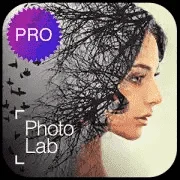 1628223447485.webp