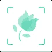 1628323075844.webp