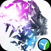 1628325359942.webp