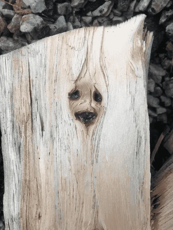 baby groot.webp