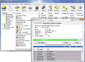 IDM_12_idm_250.png